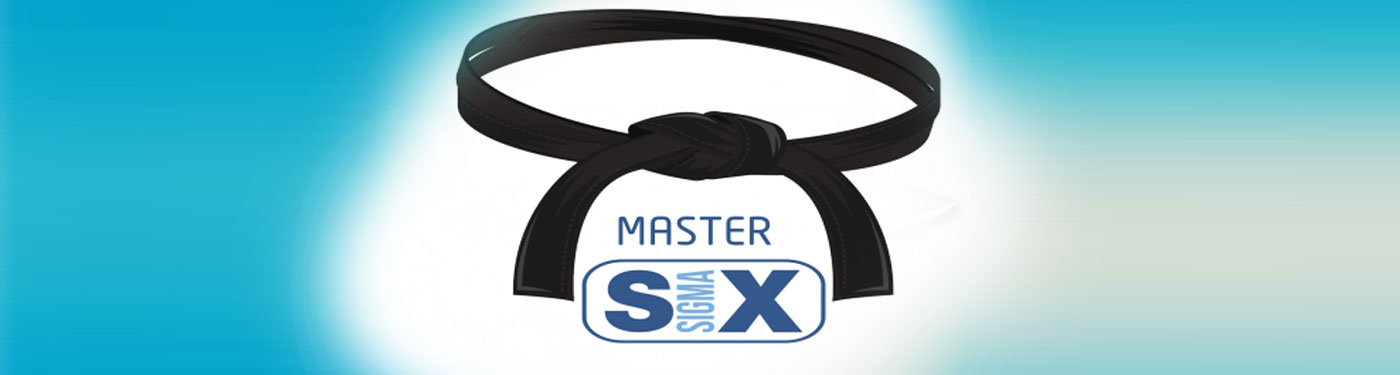 Process, Operation & Organizational Excellence : Lean Six Sigma Master Black Belt